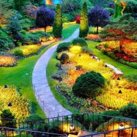 peradeniya-botonical-garden