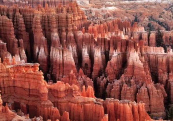 bryce-canyon-national-park-utah-1373