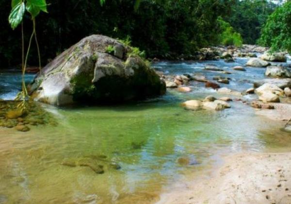 a-río-verde-hama