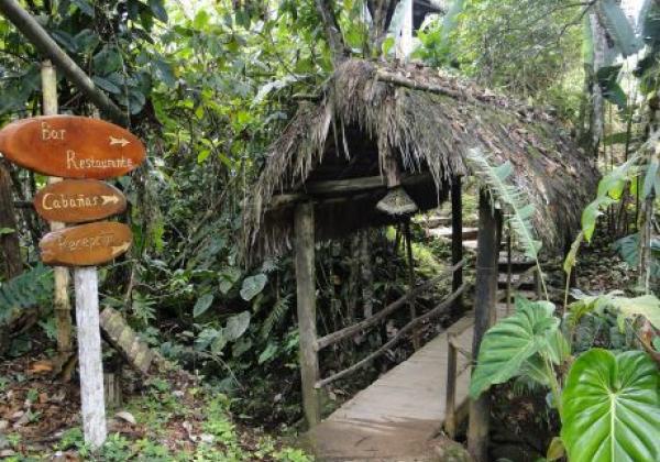 a-puente-amazonia
