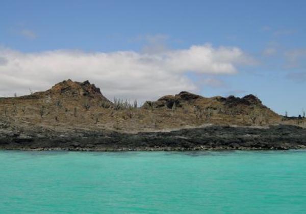 galapagos-sombrero-chino-1.jpg