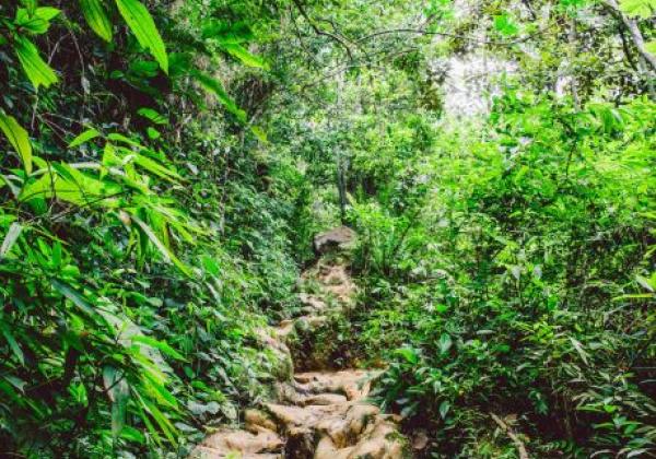 nationalpark-municipal-da-lagoinha-do-leste-florianopolis