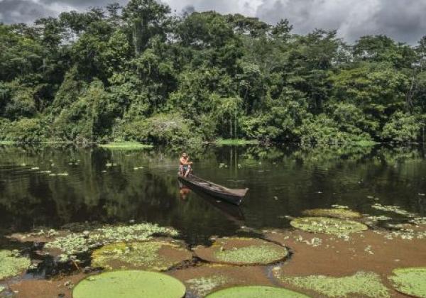 fluss-im-amazonas