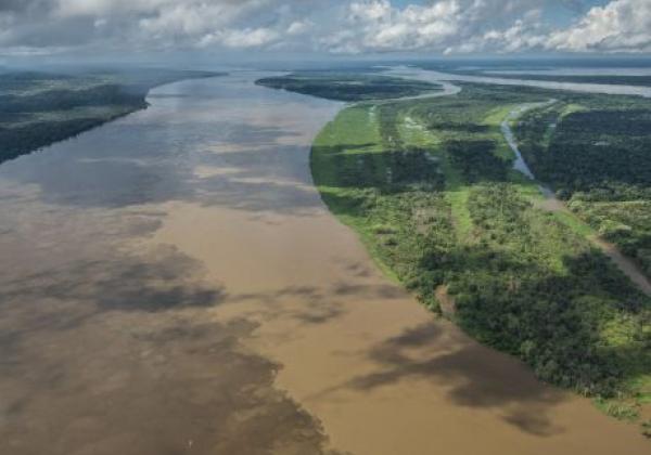 amazonas-von-oben
