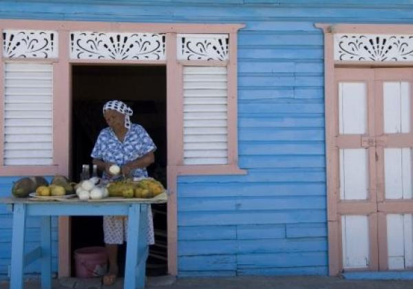 domrep-3