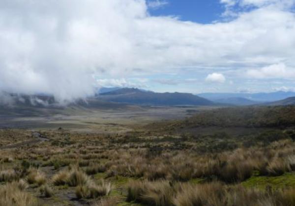s-ecu-highlands-cotopaxi-06-©-sat-(kl).jpg