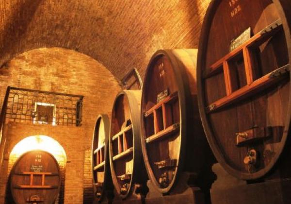 s-arg-mendoza-wine-01-©-sat-(ad).jpg