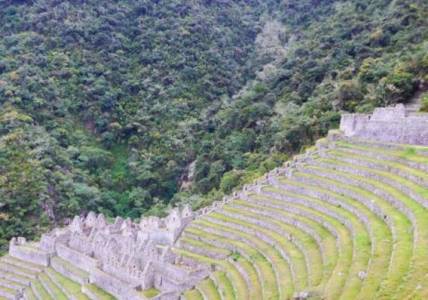 wiñayhuayna.jpg
