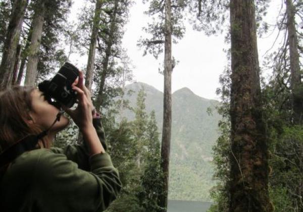 tag-4-bosque.jpg