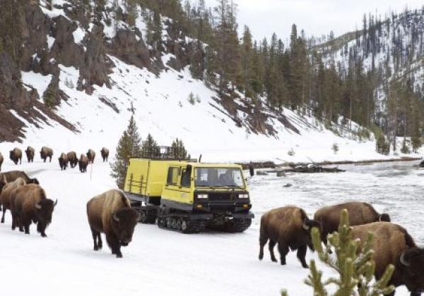 yellowstone-snow-coach-2