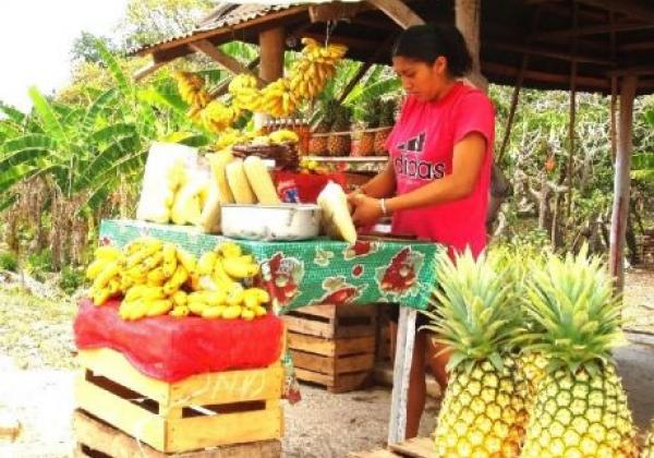 day-3-fruit-market