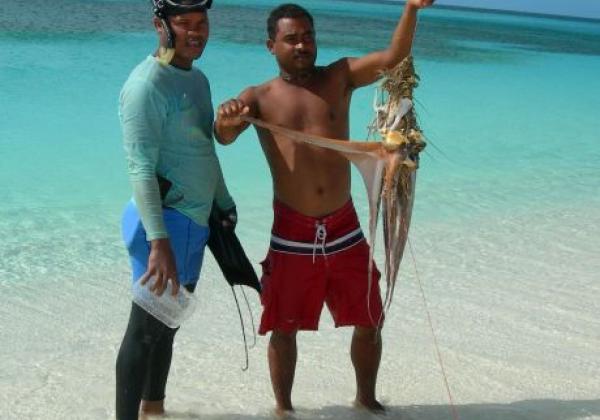 bahia-de-las-aguilas---barahona,-excursion,-fish,-divers,-people