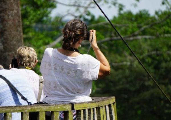 kakum-national-park-birdviewing
