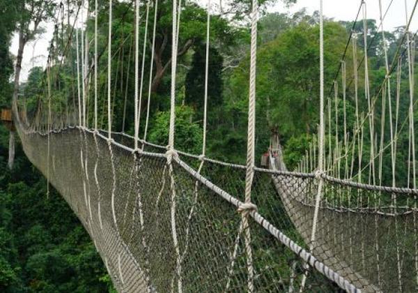 kakum-national-park-canopy-walkway.jpg
