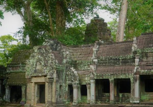 cambodia-siem-reap-ta-prohm.jpg