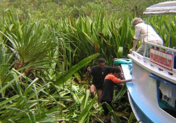 borneo---floating-plant-blocked-river-section