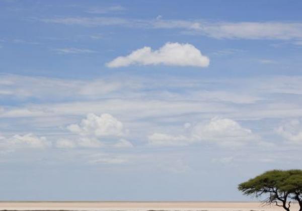 etosha-(1).jpg