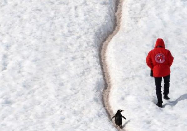 antarctic-(3)