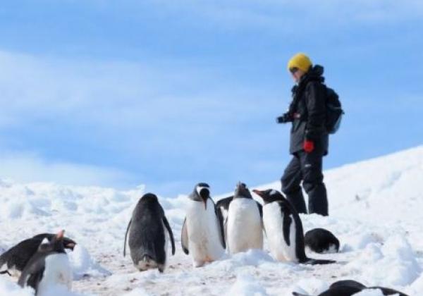 reisende-mit-pinguingruppe.jpg