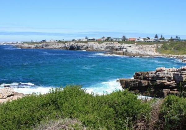hermanus