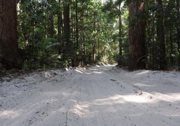 fraser-island.jpg