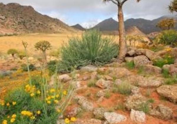 namaqualand-(wundn)