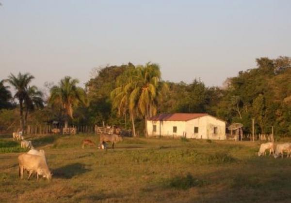 jaguar-eco-lodge-nord-pantanal-20090816-168-me