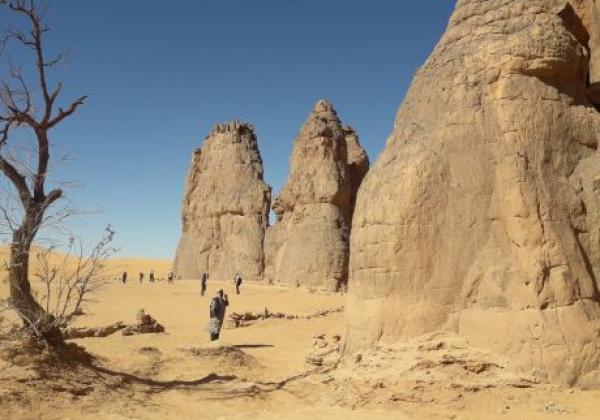 2-la-vache-qui-pleure