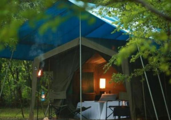 big-game-tented-capm