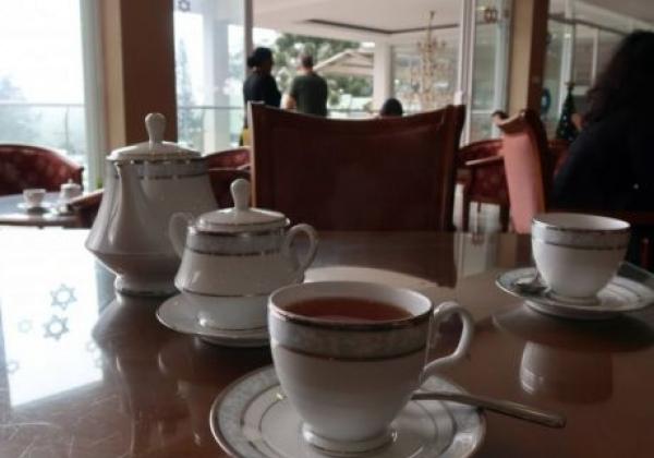 tea-tasting-cups