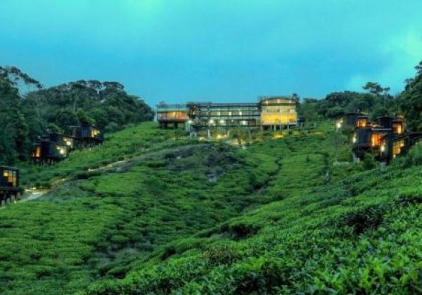 rain-forest-eco-lodge