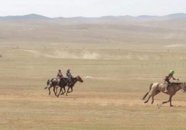 naadam-pferd.jpg