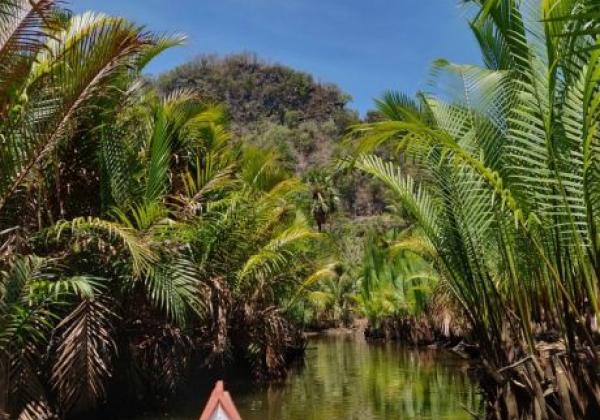 indonesien-sulawesi-ramang-fluss-4-sm-800x600