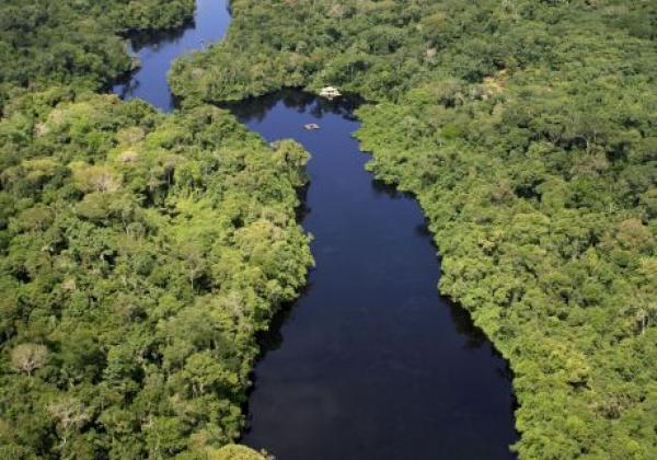 landscapes-mato-grosso-high-forest-aventure-meeting-of-the-waters-river-water-green-forest-tree-plants