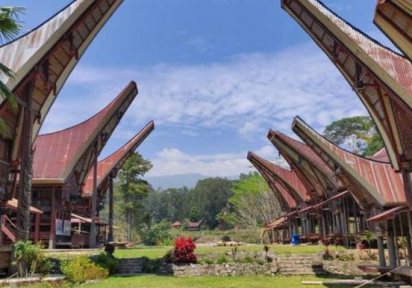 toraja-sm-(4)