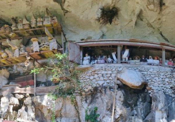 toraja-sm-(2)