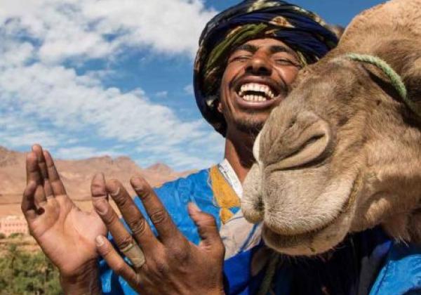 trips-and-excursions-from-ouarzazate