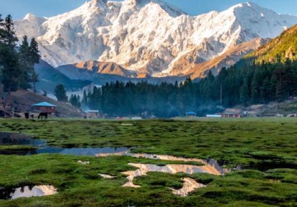 fairy-meadows-with-views-of-nanga-parbat