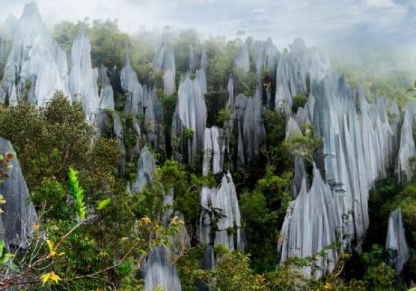 gunung-mulu-nationalpark