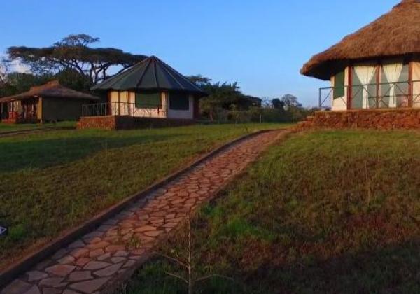 tanzania--karatu-simba-lodge-02