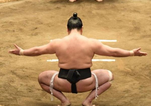 sumo