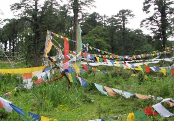 prayer-flags