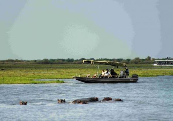 chobe-(3)