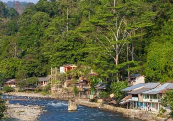 bukit-lawang-village,-sumatra,-indonesia-800x533
