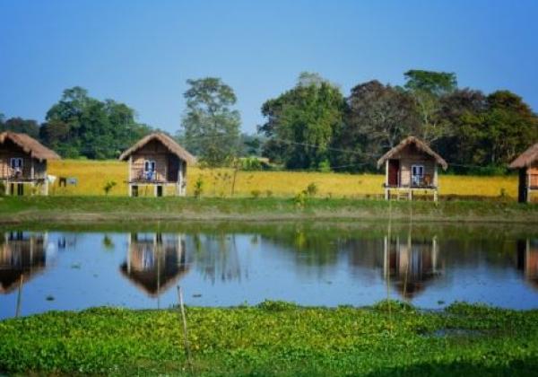 142---majuli-800x534