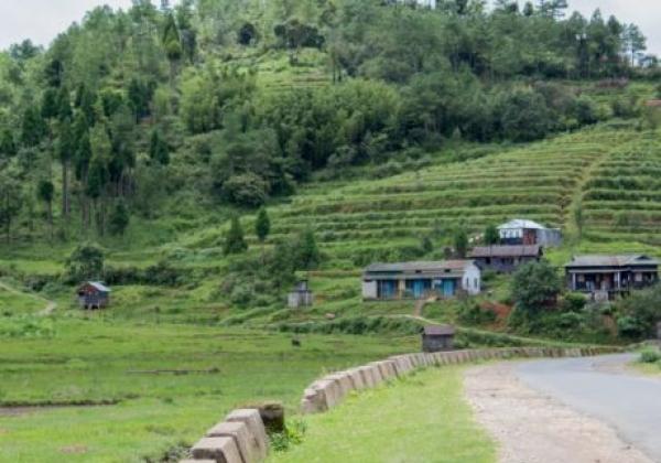 196---mawsynram-800x533