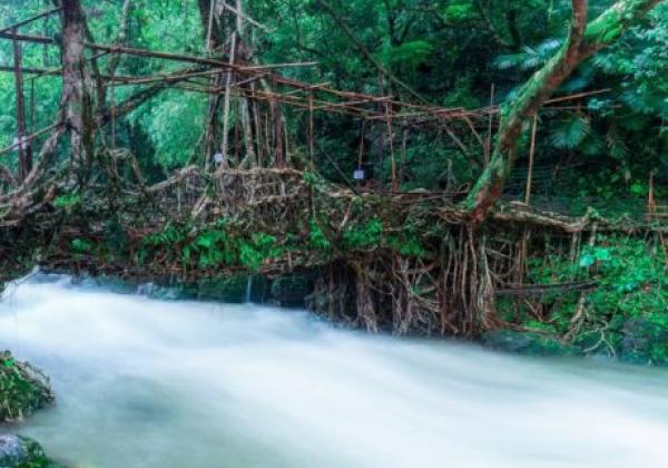 197-cherapunji-single-decker-bridge-794x600