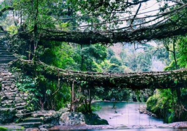 198-cherapunji-double-decker-bridge-800x533