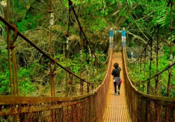 200---sohra-nongirat-meghalaya-800x533