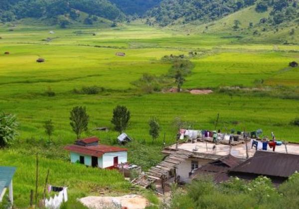 203---jowai-800x533
